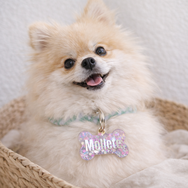 Perro con placa personalizada con nombre